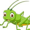 grasshopper247