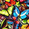 123butterflymustfly
