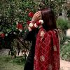 dil_afrozemalik