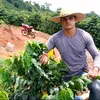 junio_agro