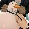 _alexander_1412