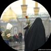 alihaiderkhan3630