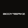 bodywerkz