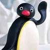 sale_joao