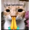 elcuatiohh