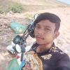 user24402543952275