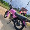 paolareales37