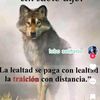 joe_20250