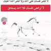 user3971690581059