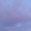 wuocthawg0