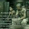 hugonarvaez75