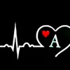 user7912256209494
