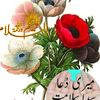 user79677743543463