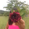 boraserfeliz25