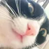 dobmis24