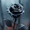 jykar7