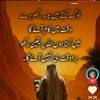 user7546619738132