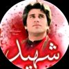 habib7788994