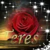 teresafrancofer10
