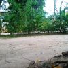 stino_onedon