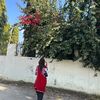angila