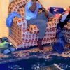 assane.mbengue7