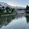 veer_540