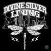 divinesilverlining.co