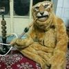 number1arabb