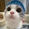 ome.moe
