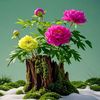 rose004993