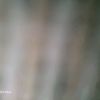 user1712461098005
