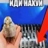 _drunkenmaster_