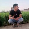 .hassan0481