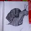 art_kim10