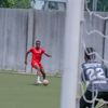 wizzhy12