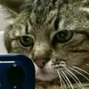 emanuel12hfowh3ig