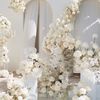 Weddings by Madeline & Daniel