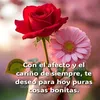 caplaya_