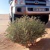 abderrahmane.boud86