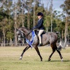 skyla_equestrian