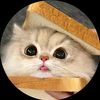 chen_bao00