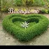mauriziomaurizior