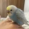 りりぃ