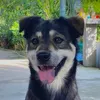 minhhau71_vlog