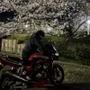 しょー
