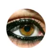 amal69186