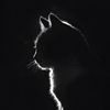 its_me_sajid_07