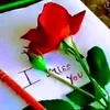 user5334660685287