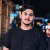 abo.aon313